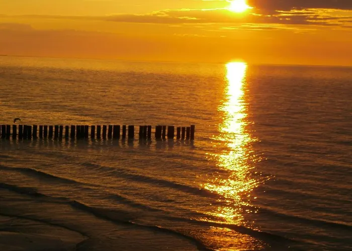 3 Im Eg Haus Stranddistel, Komfortable Fur 2 Personen In * ツィングシュト